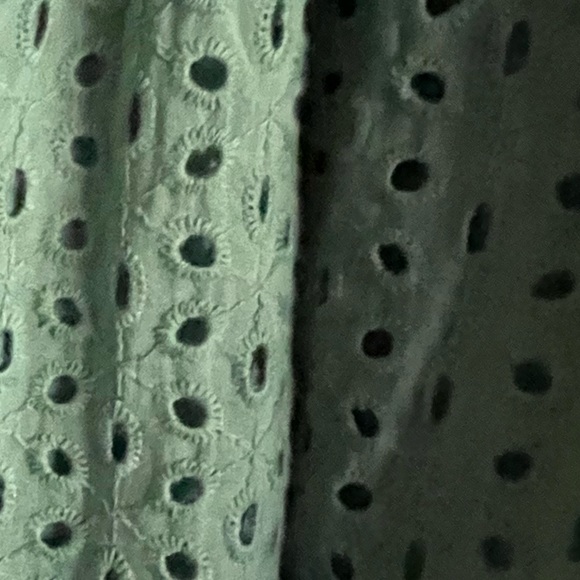 Karina Grimaldi Irina Eyelet Mini Dress in Sage size XS from Revolve - Picture 13 of 14